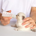 Graduated Newborn Kitten Feeding Bottle – product view 1