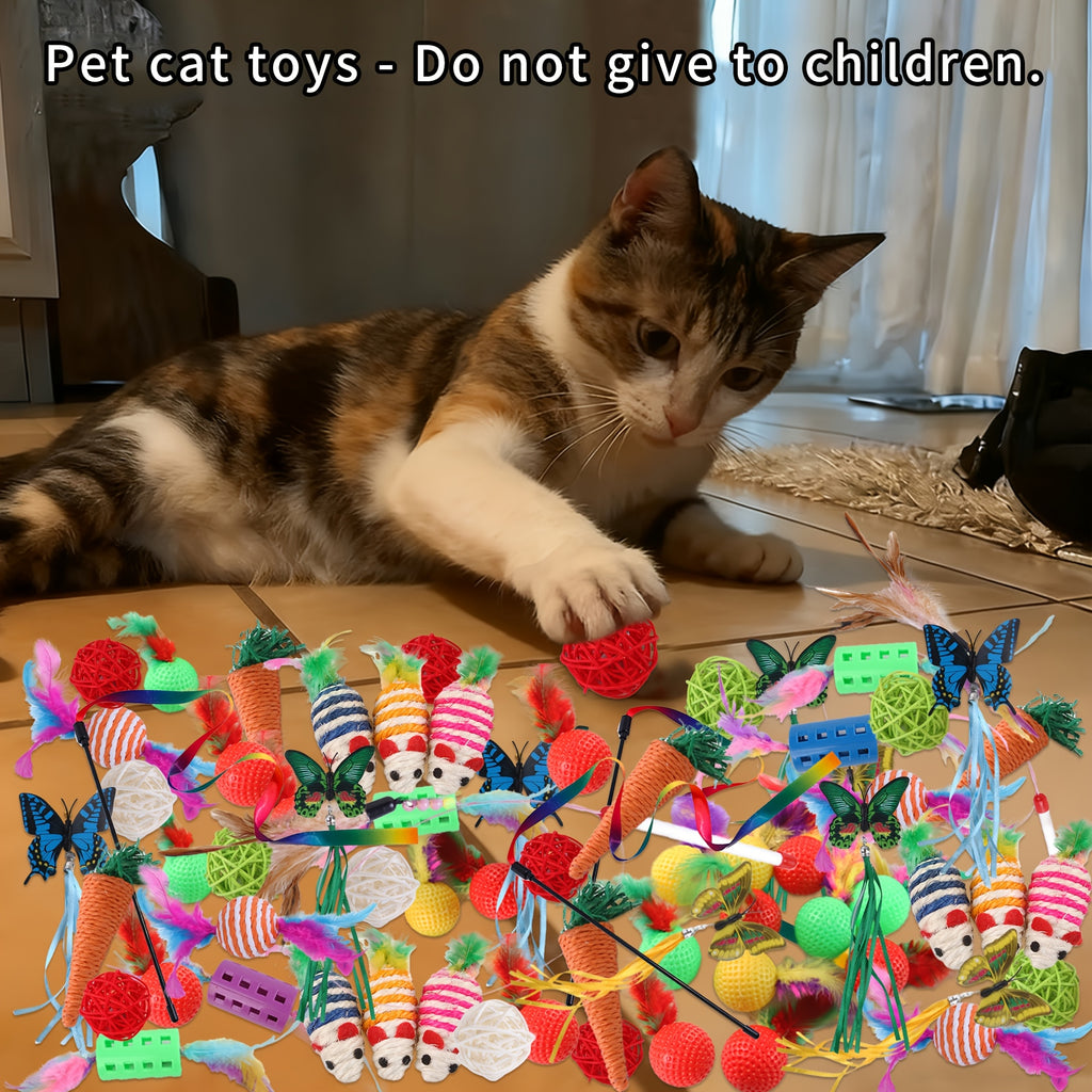 Assorted Cat Toy Variety Set – product view 5