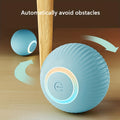 Smart Rolling Ball & Teaser Stick Cat Toy – product view 1