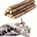 40-Piece Cat Chew & Dental Play Set – product view 1