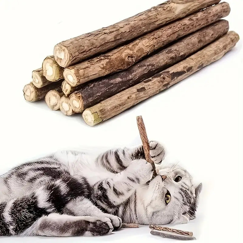 40-Piece Cat Chew & Dental Play Set – product view 1