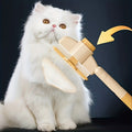 Purrfetti Self-Cleaning Cat Grooming Brush