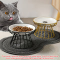 Purrfetti Elevated Ceramic Cat Bowl Set