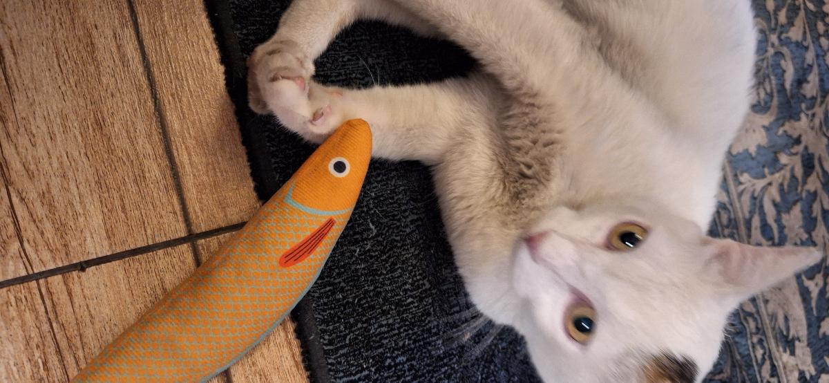 Purrfetti Crinkle Fish Cat Kicker Toy