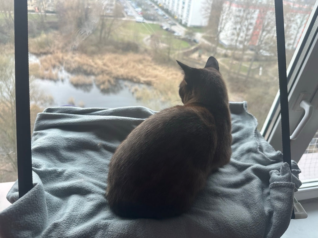 Purrfetti Cat Window Hammock
