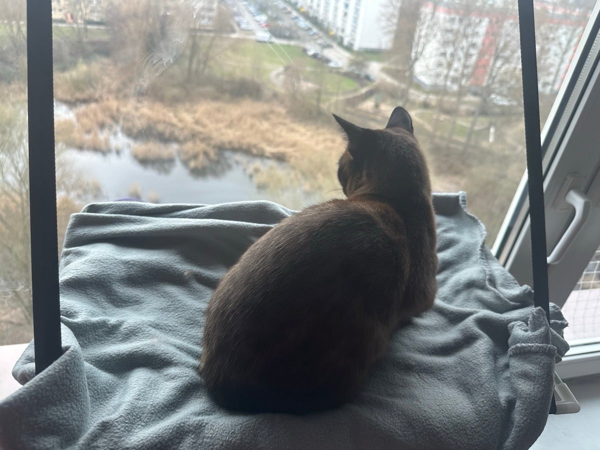 Purrfetti Cat Window Hammock