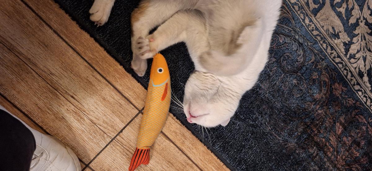 Purrfetti Crinkle Fish Cat Kicker Toy