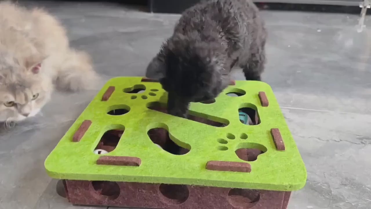 Purrfetti Cat Fun Scratch & Hunt Box