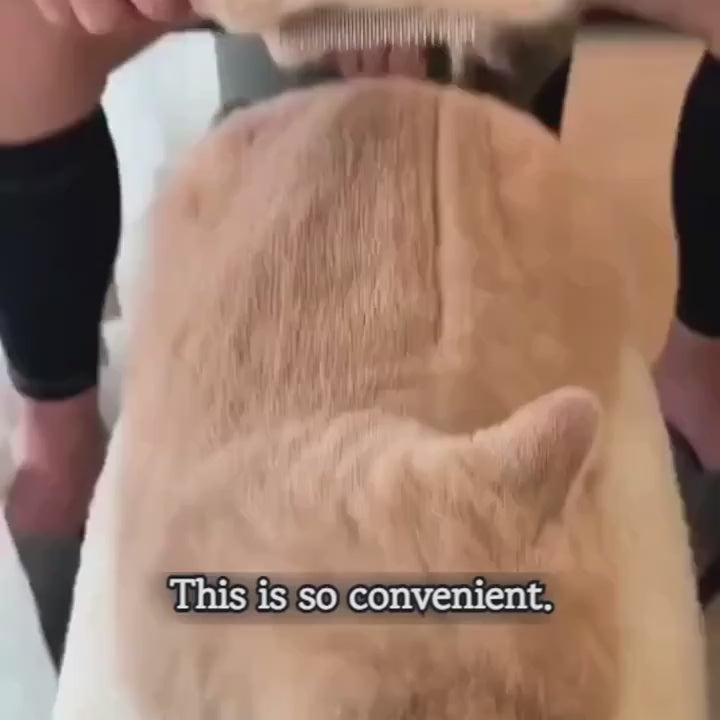 Purrfetti Self-Cleaning Cat Grooming Brush